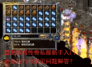�����³Ǵ���˽���������űر������볣��������