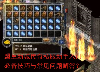 �����³Ǵ���˽���������űر������볣��������