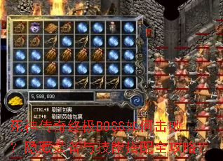 �������ռ�BOSS��λ��ܣ�����װ���뼼�ܴ���ȫ���ԣ�
