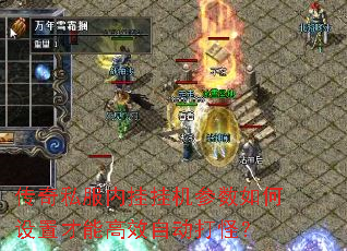 传奇私服内挂挂机参数如何设置才能高效自动打怪? 传奇私服内挂挂机参数如何设置才能高效自动打怪?