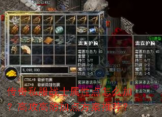 传奇私服战士属性点怎么加?高攻高防加点方案推荐? 传奇私服战士属性点怎么加?高攻高防加点方案推荐?