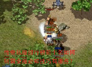 传奇私服排行榜前十名如何制霸全服必知技巧有哪些? 传奇私服排行榜前十名如何制霸全服必知技巧有哪些?
