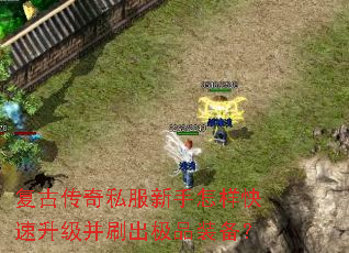 复古传奇私服新手怎样快速升级并刷出极品装备? 复古传奇私服新手怎样快速升级并刷出极品装备?