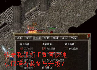 传奇私服新手如何快速获取稀有装备与升级? 传奇私服新手如何快速获取稀有装备与升级?