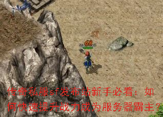 传奇私服sf发布站新手必看:如何快速提升战力成为服务器霸主? 传奇私服sf发布站新手必看:如何快速提升战力成为服务器霸主?