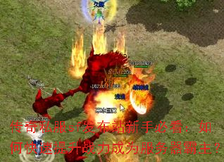 传奇私服sf发布站新手必看:如何快速提升战力成为服务器霸主? 传奇私服sf发布站新手必看:如何快速提升战力成为服务器霸主?