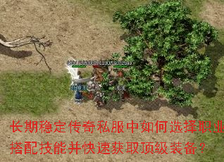 长期稳定传奇私服中如何选择职业搭配技能并快速获取顶级装备? 长期稳定传奇私服中如何选择职业搭配技能并快速获取顶级装备?