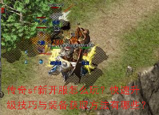 ����sf�¿�����ô�棿��������������װ����ȡ��������Щ��