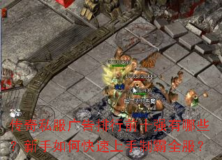 传奇私服广告排行前十强有哪些?新手如何快速上手制霸全服? 传奇私服广告排行前十强有哪些?新手如何快速上手制霸全服?