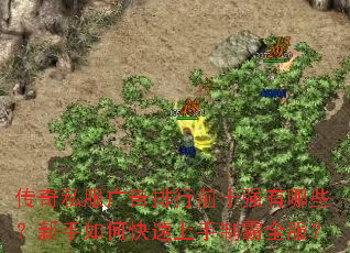 传奇私服广告排行前十强有哪些?新手如何快速上手制霸全服? 传奇私服广告排行前十强有哪些?新手如何快速上手制霸全服?