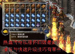 热血传奇私服怀旧版最新区职业推荐与快速升级技巧有哪些? 热血传奇私服怀旧版最新区职业推荐与快速升级技巧有哪些?