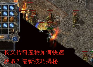 长久传奇宠物如何快速获取?最新技巧揭秘 长久传奇宠物如何快速获取?最新技巧揭秘