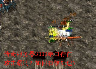 ���������3000�˿ڴ��ڹ���©���������Ч������