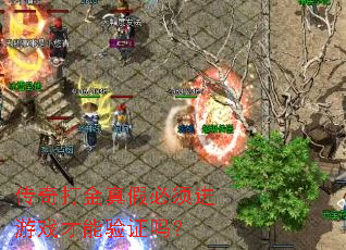 传奇打金真假必须进游戏才能验证吗? 传奇打金真假必须进游戏才能验证吗?