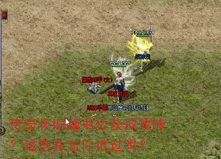 ���滳�ɷ���ҳ��ȡ���ԣ���Щ�������Թ���