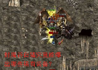 封魔谷白猪究竟能爆出哪些稀有装备? 封魔谷白猪究竟能爆出哪些稀有装备?