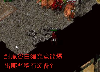 封魔谷白猪究竟能爆出哪些稀有装备? 封魔谷白猪究竟能爆出哪些稀有装备?