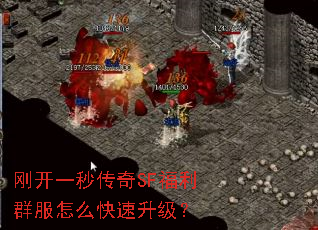 刚开一秒传奇SF福利群服怎么快速升级? 刚开一秒传奇SF福利群服怎么快速升级?