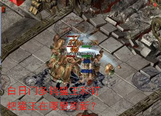 白日门多钩猫王和钉耙猫王在哪里刷新? 白日门多钩猫王和钉耙猫王在哪里刷新?