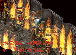 地底淘金:如何躲避蜈蚣与巨虫的致命袭击? 地底淘金:如何躲避蜈蚣与巨虫的致命袭击?