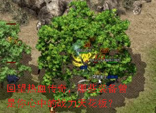 ������Ѫ���棬��Щװ�����������е�ս���컨�壿