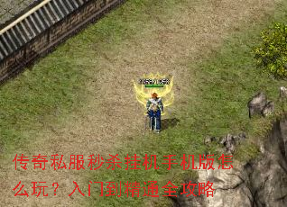 传奇私服秒杀挂机手机版怎么玩?入门到精通全攻略 传奇私服秒杀挂机手机版怎么玩?入门到精通全攻略