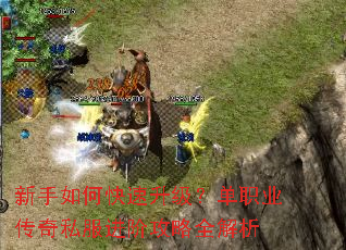 新手如何快速升级?单职业传奇私服进阶攻略全解析 新手如何快速升级?单职业传奇私服进阶攻略全解析