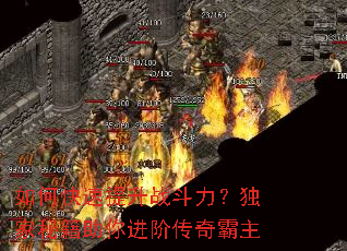 如何快速提升战斗力?独家秘籍助你进阶传奇霸主 如何快速提升战斗力?独家秘籍助你进阶传奇霸主