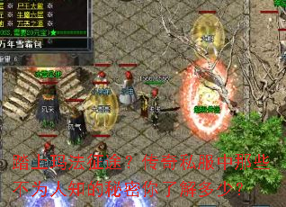 踏上玛法征途?传奇私服中那些不为人知的秘密你了解多少? 踏上玛法征途?传奇私服中那些不为人知的秘密你了解多少?
