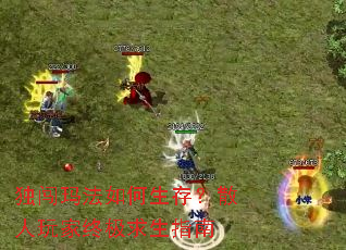 独闯玛法如何生存?散人玩家终极求生指南 独闯玛法如何生存?散人玩家终极求生指南