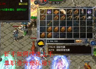 新手如何快速上手单职业传奇私服? 新手如何快速上手单职业传奇私服?