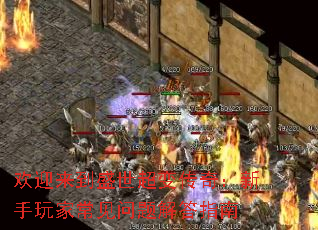 欢迎来到盛世超变传奇:新手玩家常见问题解答指南 欢迎来到盛世超变传奇:新手玩家常见问题解答指南