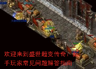 欢迎来到盛世超变传奇:新手玩家常见问题解答指南 欢迎来到盛世超变传奇:新手玩家常见问题解答指南