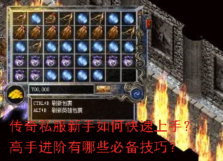 传奇私服新手如何快速上手?高手进阶有哪些必备技巧? 传奇私服新手如何快速上手?高手进阶有哪些必备技巧?