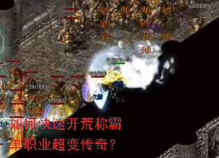 ��ο��ٿ��ĳưԵ�ְҵ���䴫�棿