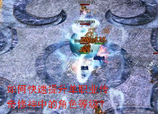 如何快速提升单职业传奇修神中的角色等级? 如何快速提升单职业传奇修神中的角色等级?