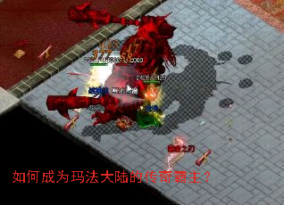 如何成为玛法大陆的传奇霸主? 如何成为玛法大陆的传奇霸主?