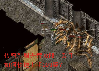 传奇新服开荒攻略:新手如何快速上手003版? 传奇新服开荒攻略:新手如何快速上手003版?