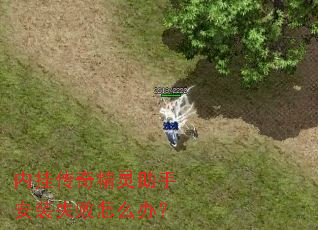内挂传奇精灵助手安装失败怎么办? 内挂传奇精灵助手安装失败怎么办?