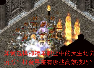 如何选择神转单职业中的天生地养流派?打金寻宝有哪些高效技巧? 如何选择神转单职业中的天生地养流派?打金寻宝有哪些高效技巧?