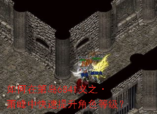 如何在第岛6841义之·萧峰中快速提升角色等级? 如何在第岛6841义之·萧峰中快速提升角色等级?