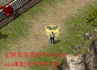如何高效实现90%秒杀boss单职业传奇玩法? 如何高效实现90%秒杀boss单职业传奇玩法?