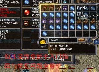 仙凡录传奇新手入门指南?常见问题全解析 仙凡录传奇新手入门指南?常见问题全解析