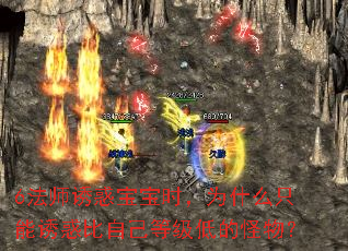 6法师诱惑宝宝时,为什么只能诱惑比自己等级低的怪物? 6法师诱惑宝宝时,为什么只能诱惑比自己等级低的怪物?