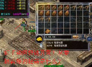 新手如何快速开荒?从零到霸服的秘籍是什么? 新手如何快速开荒?从零到霸服的秘籍是什么?