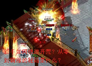 新手如何快速开荒?从零到霸服的秘籍是什么? 新手如何快速开荒?从零到霸服的秘籍是什么?