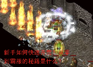 新手如何快速开荒?从零到霸服的秘籍是什么? 新手如何快速开荒?从零到霸服的秘籍是什么?