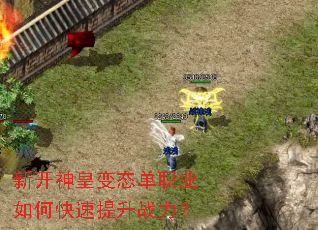 新开神皇变态单职业如何快速提升战力? 新开神皇变态单职业如何快速提升战力?