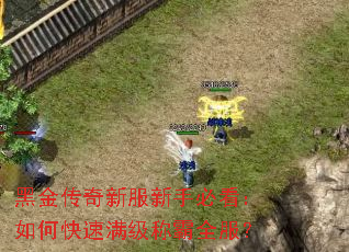 黑金传奇新服新手必看:如何快速满级称霸全服? 黑金传奇新服新手必看:如何快速满级称霸全服?