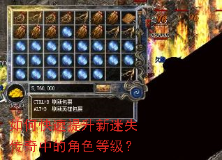 如何快速提升新迷失传奇中的角色等级? 如何快速提升新迷失传奇中的角色等级?